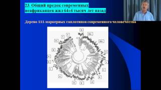 Клёсов А.А. Лекция 15: Не выходили наши предки из Африки