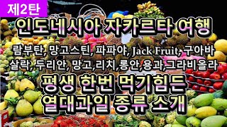 인도네시아 자카르타 평생 한번 먹기도 힘든 열대과일 종류 소개 제2탄