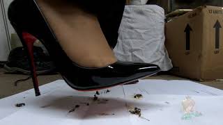 Crushing Insects With So Kate Black Patent Christan Louboutin ?