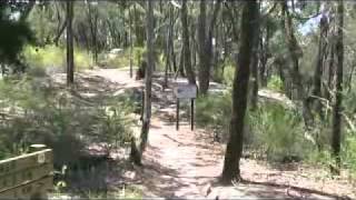 The Great North Walk - Thornleigh to Hornsby Section