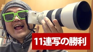 【これは買い！】ソニーα6000の超高速11コマ連写でカワセミ撮ったらOKカットが量産されてしまった【SEL70200G】