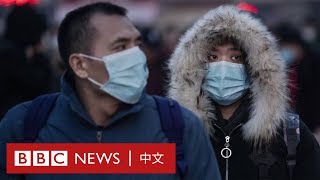 武漢肺炎：武漢新型冠狀病毒的病徵及預防方法－ BBC News 中文