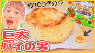 【夢企画】巨大パイの実作ってみたんだけど。。。汗