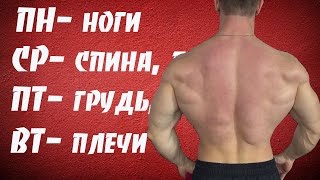 Лучшая программа для набора массы