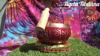 Tigela Tibetana Para Terapia Do Som 13 Cm + Brinde Almofada