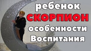 Ребенок- Скорпион. особенности Воспитания . " Маленький Бунтарь"