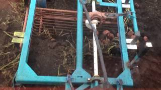коп картошки самодельной кортофелекопалкой на т 25\homemade potato digging machine on tractor