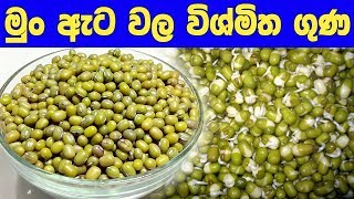 මුංඇට වල විශ්මිත ගුණය - Amazing quality of green gram