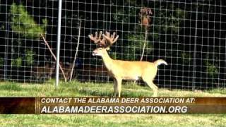 Deer & Wildlife Stories: Going Once, Twice, SOLD!