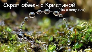 Скрап-обмен с Кристиной / Скрапбукинг