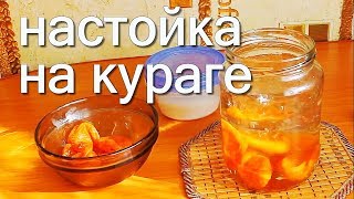настойка на кураге