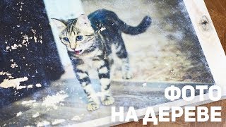 Как перенести фотографию на дерево / 2 способ