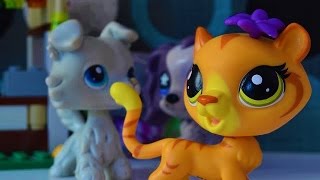Littlest Pet Shop: Johnsonovi (1. Část: Slepá láska a důležitý film)