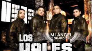 Los Vales De Michoacan -  (2014) - AL 100 Y AL PUTAZO