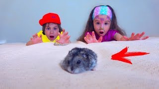 Камиль и Аминка ПОТЕРЯЛИ ПИТОМЦА! Кто Во ВСЕМ ВИНОВАТ? Для детей kids children