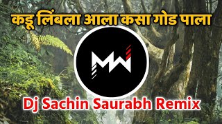 Kadu Limbala Ala Kasa God Pala | कडू लिंबला आला कसा गोड पाला | Dj Sachin Saurabh Remix | Music World