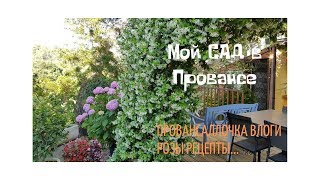 Утренние заботы/ Запущенный графский сад ?/Опухло лицо/Дождь ☔ в Провансе
