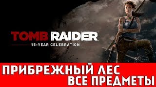 TOMB RAIDER - ПРИБРЕЖНЫЙ ЛЕС (ВСЕ ДОКУМЕНТЫ,АРТЕФАКТЫ,ТАЙНИКИ)