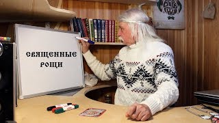 9. СВЯЩЕННЫЕ РОЩИ - Александр Тюрин в АсБорге