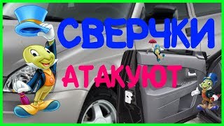 ?Сверчки в дверях. Снятие дверной накладки. Лада Приора доработки.