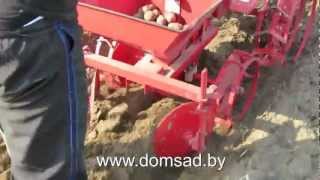 Посадка картофеля с помощью мотоблока "Салют5-Л6.5" ("Агат-Л6.5")