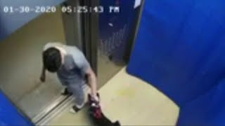 Man, 21, accused of abusing dog inside elevator at Brickell building