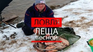 ловля леща ранней весной