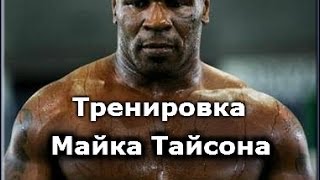 Бокс, Тренировка Майка Тайсона