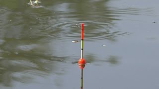Рыбалка. Ловля карася под трель соловья. My fishing.
