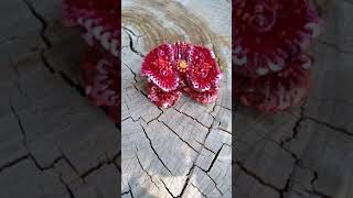 Брошь "Красный бархат"