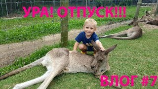 Прогулка по Австралийской Ферме / кормим домашних животных Кенруру Коала Собака Динго