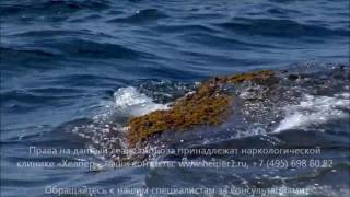 Легкий способ бросить курить! Гипнотический сеанс!