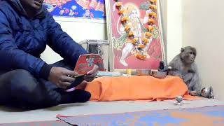 कलयुग मे हुआ चमत्कार बजरंगबली साक्षात हनुमान चालिसा सुनते हुऐ–ये विडियो ज्यादा से ज्यादा शेयर करें