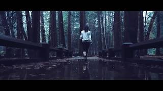 Alan Walker -  Alive ( New song )