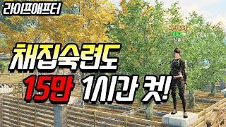 채집숙련도 1시간만에 15만 올리는법!!![라이프애프터-LifeAfter][마고]