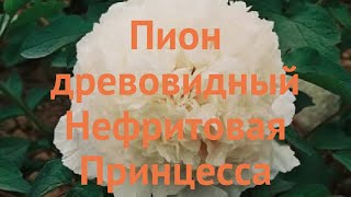 Пион древовидный Нефритовая Принцесса ? обзор: как сажать, саженцы пиона Нефритовая Принцесса