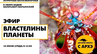 Детский эфир "Властелины планеты" в рамках рубрики "Неурочные беспозвоночные"