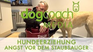 Hundeerziehung - Angst vor dem Staubsauger