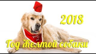 С  Новым 2018 годом
