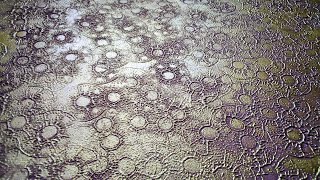 ПРОСТАЯ  И  ДЕШЕВАЯ  ДЕКОРАТИВНАЯ  ШТУКАТУРКА  - " ШТАМП СВОИМИ  РУКАМИ "