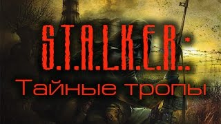 S.T.A.L.K.E.R.: Тайные тропы #18 Финал. Смерть. Вылеты.