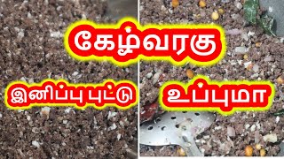 கேழ்வரகு இனிப்பு புட்டு| கேழ்வரகு உப்புமா |  Ragi puttu in tamil | Ragi Upma | Ragi Sweet Puttu
