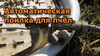 Автоматическая поилка для пчёл. Это прорыв в пчеловодстве.