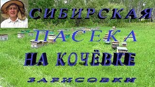 Сибирская пасека на кочёвке