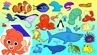 Animal ABC | learn the alphabet with 26 cartoon Ocean Animals | ABCD sea animals kids education