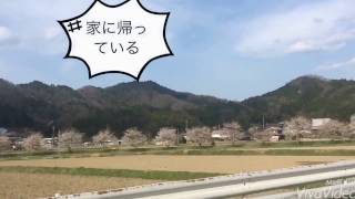 Maizuru city Kyoto Japan Trip 4/2017