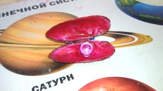 ШОК!!!как сделать ракушку с жемчужиной