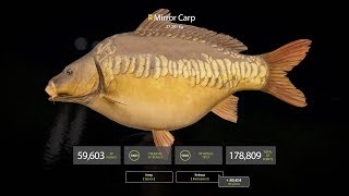 Russian Fishing 4 ★ 冠軍鏡鯉(Trophy Mirror Carp, 27.291kg)[20190625]