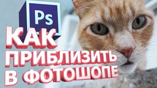Как приблизить изображение в фотошопе