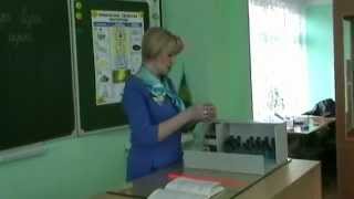 Учитель химии МОУ "Ратчинская СОШ" Кочергина И.Н.